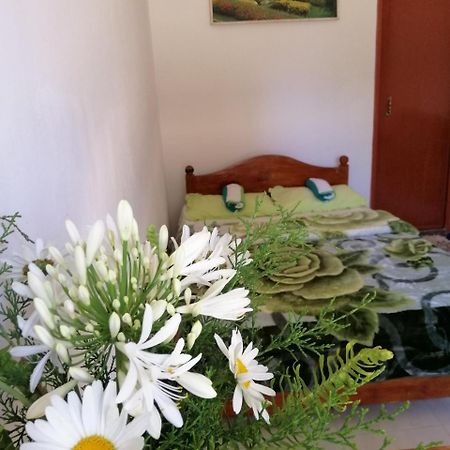 The Galways Edge Homestay Nuwara Eliya Kültér fotó