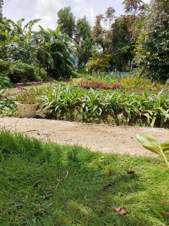 The Galways Edge Homestay Nuwara Eliya Kültér fotó
