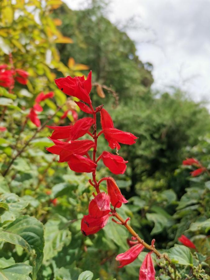 The Galways Edge Homestay Nuwara Eliya Kültér fotó